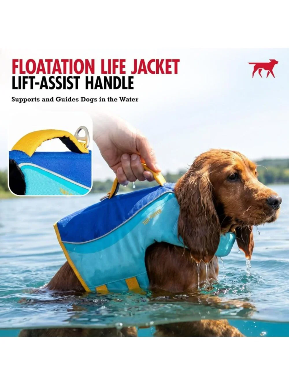 High Buoyancy Dog Life Jacket | Adjustable Swim Vest with Rescue Handle